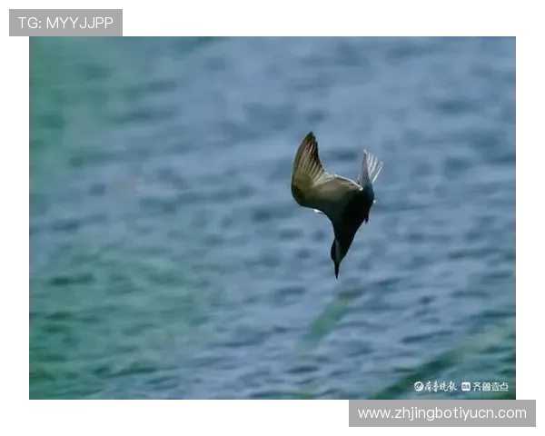 亚博捕鱼：提升捕鱼技巧的实用方法和常见误区解析