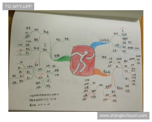 乐动体育全站app用户评价与反馈，了解平台优势与改进空间的真实声音