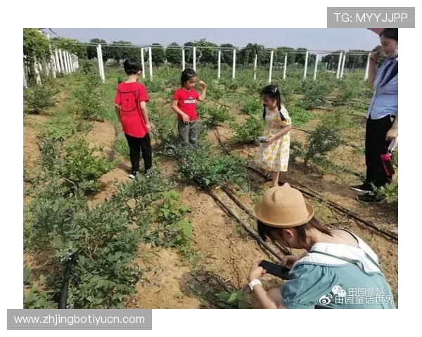 奇异果体育网址安全可靠，确保用户畅享高清体育赛事体验