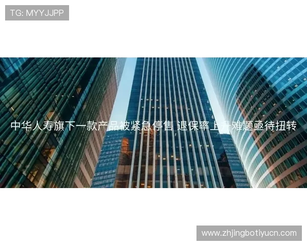 足球比分球探网500最新实时数据全面解析助你掌握每场比赛动态