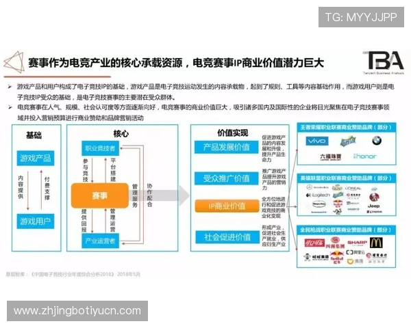 全面解析竞技宝电子游戏平台的安全保障措施与用户隐私保护策略
